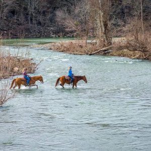Horseback riding on the Glover River