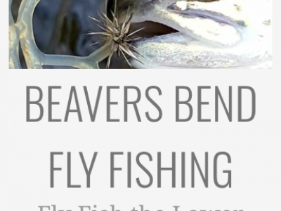 fly fishing in beavers bend