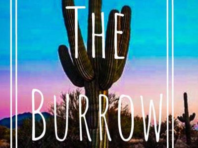the-burrow